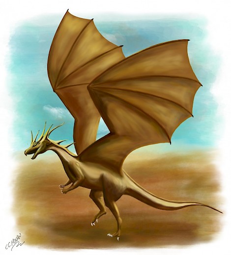 A Draig yr Anialr